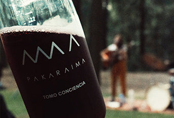 Nuestra experiencia en el Festival Pakaraima